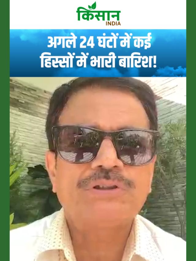 अगले 24 घंटों में कई हिस्सों में भारी बारिश, उत्तर भारत में भयानक गर्मी का अलर्ट!