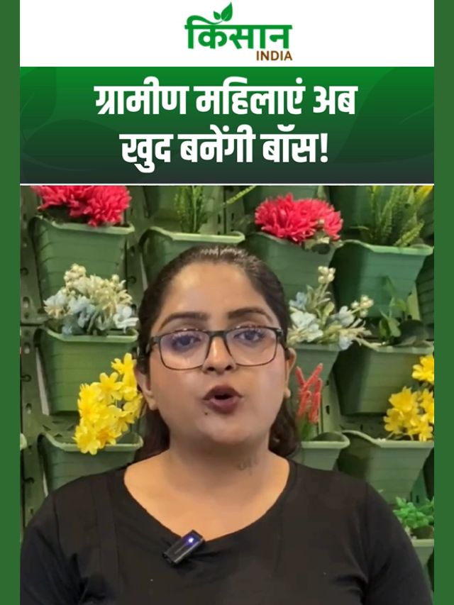 वित्त मंत्री का बड़ा तोहफा! ग्रामीण महिलाएं अब खुद बनेंगी बॉस!