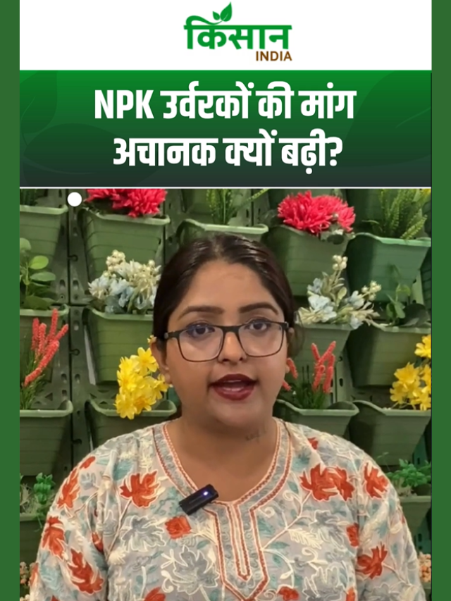 ईरान-इजरायल युद्ध और खाद संकट! क्या सच में कम पड़ गई है खाद?