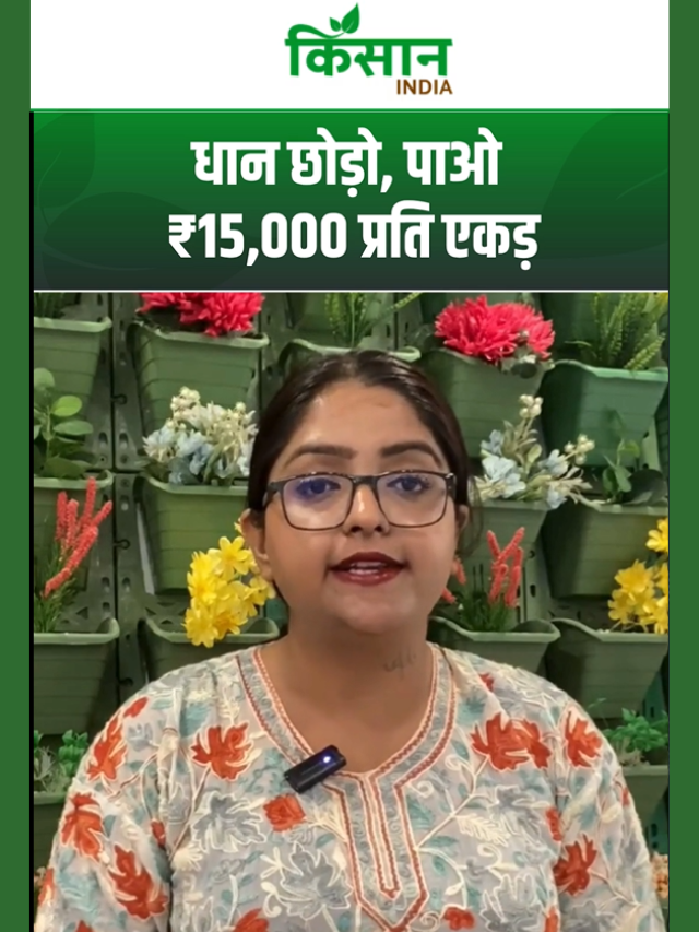 किसानों को बड़ा तोहफा! धान की जगह दूसरी फसल पर मिलेंगे ₹15,000 प्रति एकड़