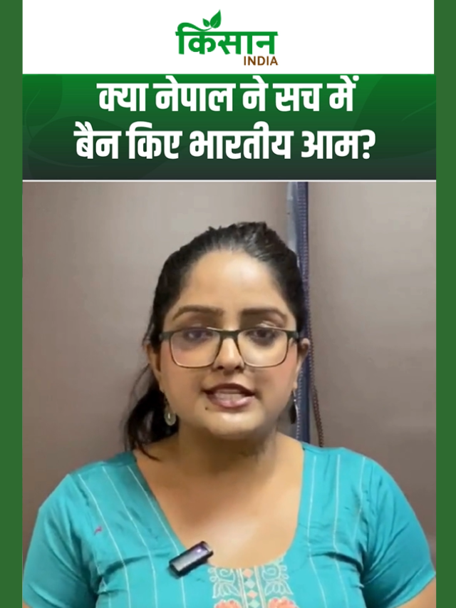 बैन की खबर निकली झूठी! नेपाल में आम का व्यापार पहले की तरह जारी