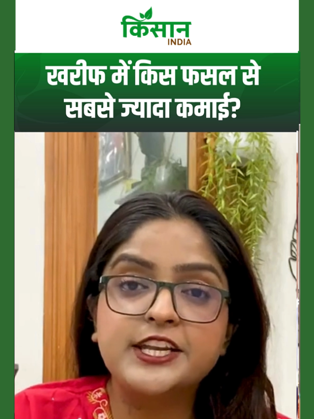 धान VS मक्का VS सोयाबीन, कौन सी फसल बनाएगी अमीर? बुवाई से पहले सच जान लो