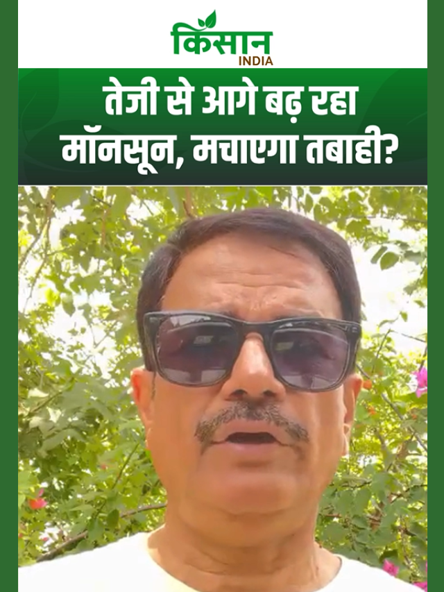 सावधान! 50 किमी प्रति घंटा की रफ्तार से तूफान और भारी बारिश शुरू, अगले 48 घंटे बेहद भारी!