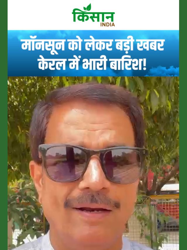 मॉनसून को लेकर बड़ी खबर, केरल में भारी बारिश का अलर्ट जारी!