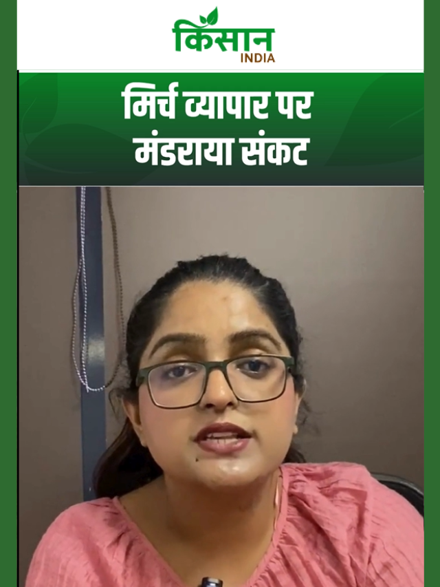 क्या विदेशी बाजारों में घटेगी भारतीय मिर्च की साख? देखिए पूरी सच्चाई
