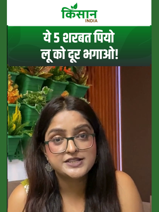 भयंकर गर्मी और लू का काल हैं ये 5 देसी शरबत! दिनभर रहेगी एनर्जी, पेट की गर्मी होगी शांत