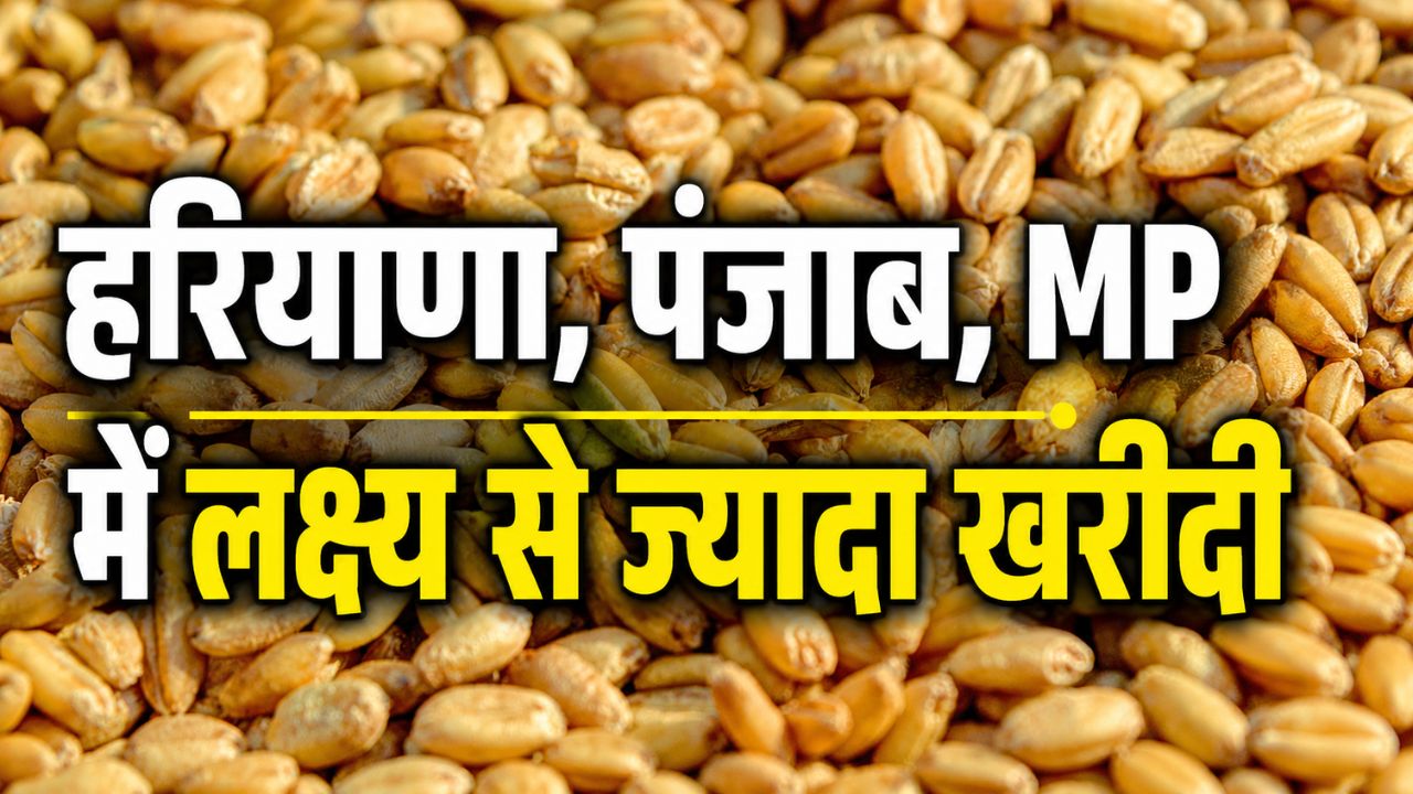 Wheat Procurement Wheat Procurement Has Increased 17 Percent Surpassing 30 Million Tons