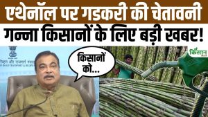 गन्ने की खेती और एथेनॉल पर नितिन गडकरी की चेतावनी, किसानों के लिए सामने आई बड़ी खबर गन्ने की खेती और एथेनॉल पर नितिन गडकरी की चेतावनी, किसानों के लिए सामने आई बड़ी खबर