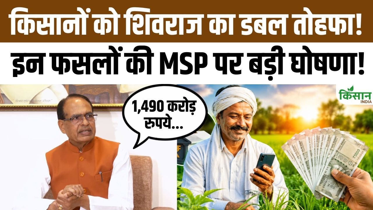 Shivraj Singh Chouhan Double Gift Farmers Major Announcements Regarding Msp Procurement And Pm Kisan Yojana