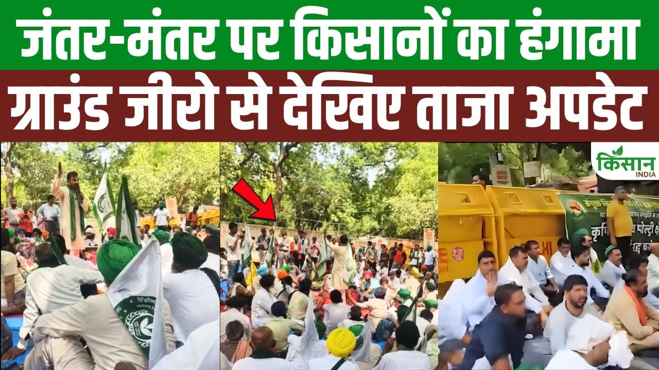 Farmers Show Strength In Delhi 22 Organizations Unite Jantar Mantar Nationwide Mega Movement Begins