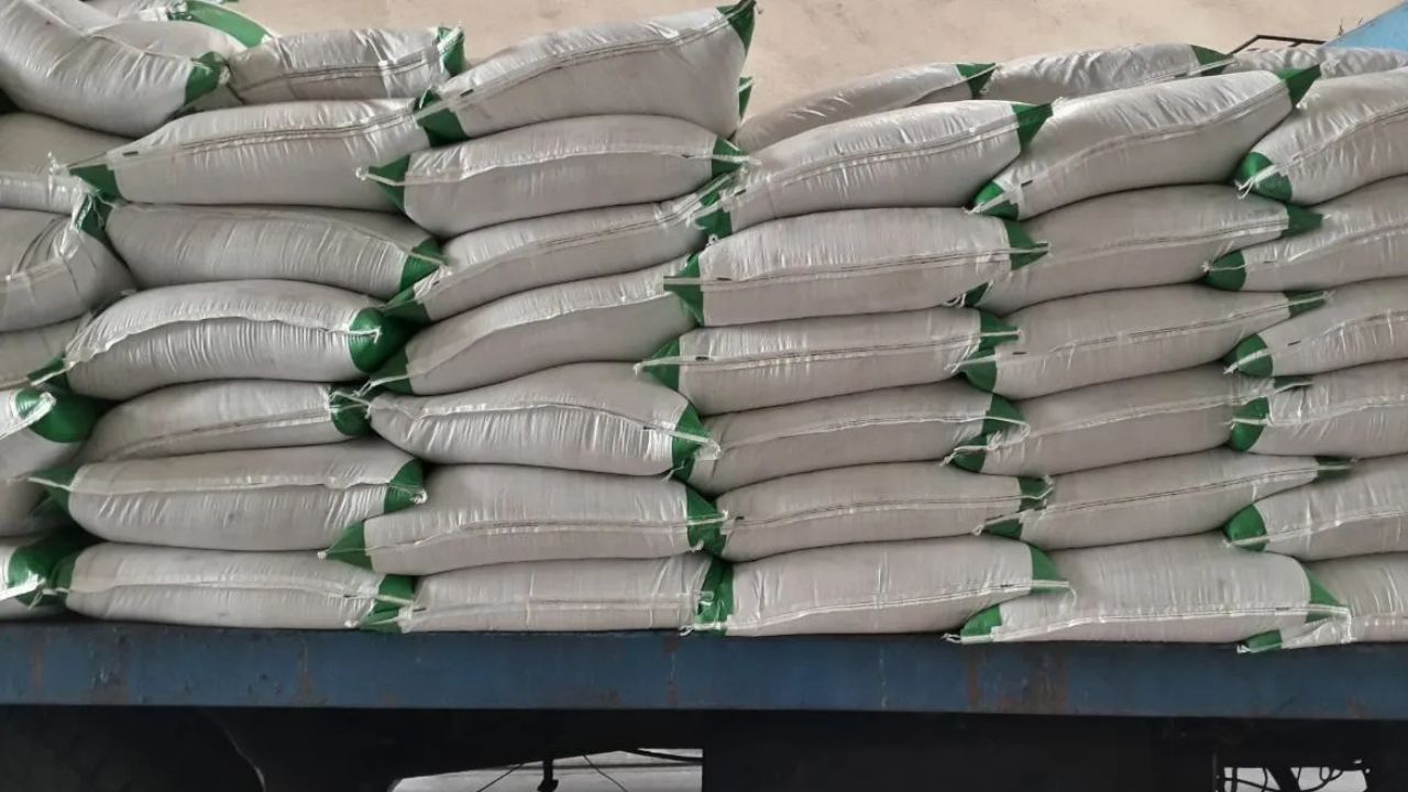 Haryana News Major Action Taken Against Fertilizer Black Marketing 494 Bags Urea Seized
