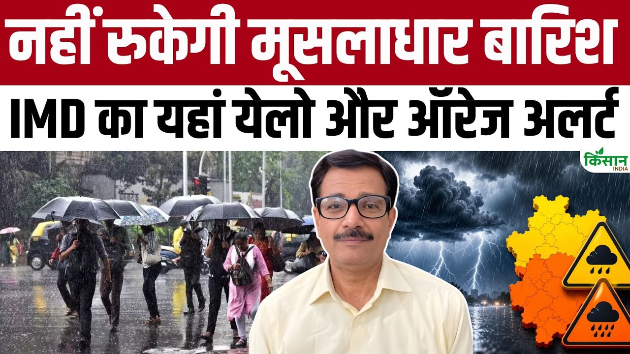 Monsoon 2026 Yellow Alert For Storms In Delhi Ncr Major Weather Upheaval Spanning From Up And Mp To Rajasthan