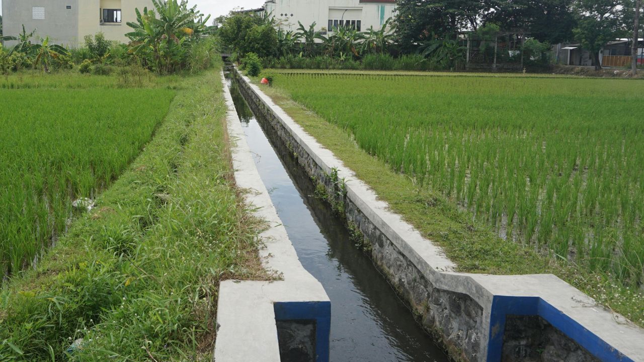 Gujarat Farmers Narmada Canals Permission Release Water Narmada Canals 11th June