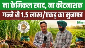 सफल किसान की अनोखी मिसाल! प्राकृतिक तरीके से गन्ना उगाकर प्रति एकड़ 1.5 लाख की कमाई सफल किसान की अनोखी मिसाल! प्राकृतिक तरीके से गन्ना उगाकर प्रति एकड़ 1.5 लाख की कमाई