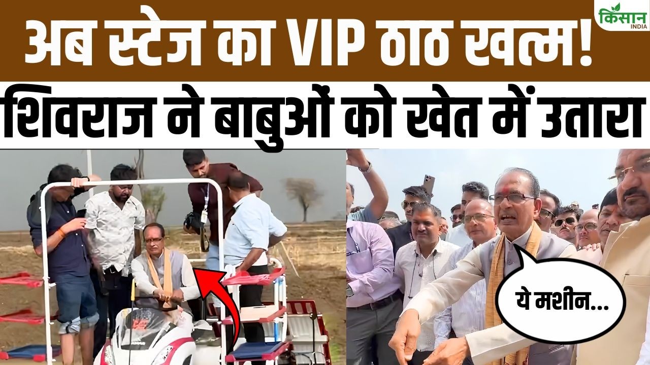Shivraj Singh Chouhan Sends Bureaucrats To The Fields Watch Live Demo Of A New Paddy Planting Machine