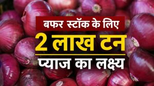 किसानों को राहत, सरकार ने बढ़ाया प्याज का खरीद रेट.. 24.4 फीसदी की बढ़ोतरी किसानों को राहत, सरकार ने बढ़ाया प्याज का खरीद रेट.. 24.4 फीसदी की बढ़ोतरी