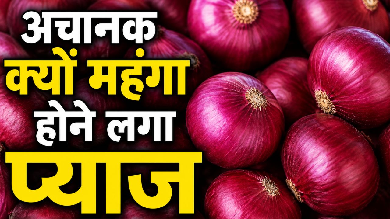 Onions Are Expensive In Lasalgaon Mandi Prices Have Increased 18 Percent