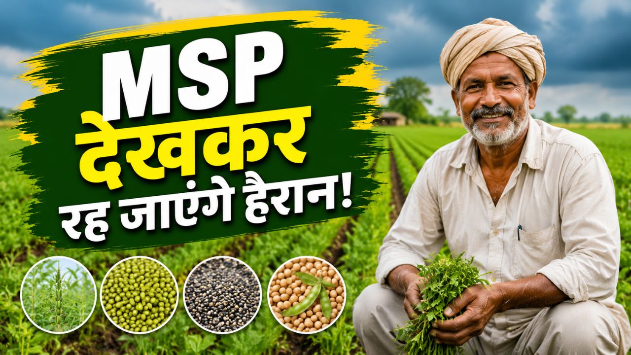 Kharif Crops Farm These Crops Instead Of Paddy High Msp Benefits For Farmers