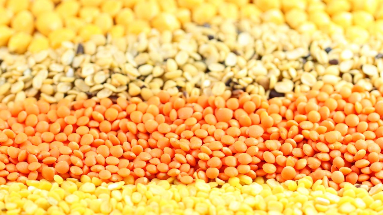 Urd Farming Bumper Profit Easy Tips Crop Yield Golden Harvest