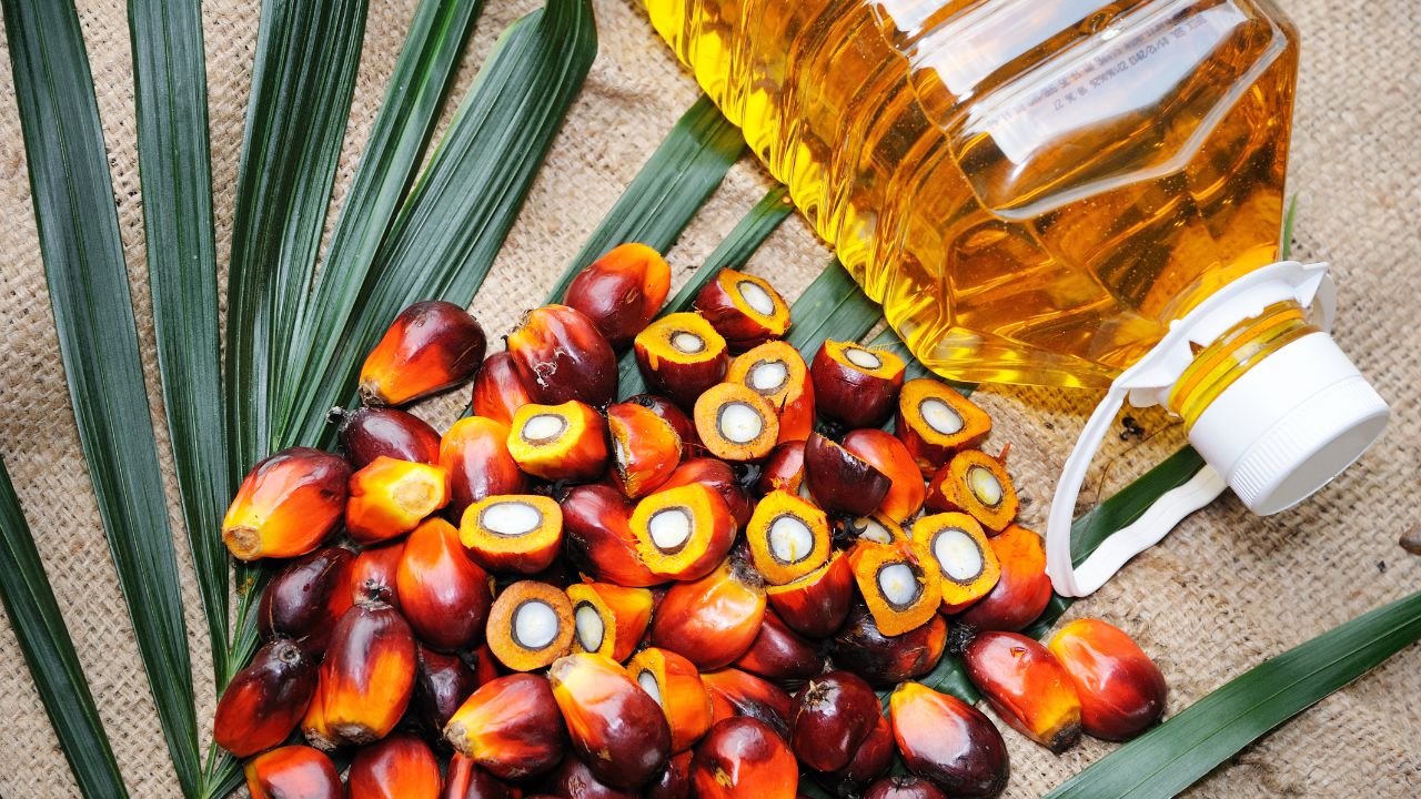 Palm Oil Imports Rise 7 Percent To 549000 Tonnes But Cheaper Soyoil Steals The Spotlight