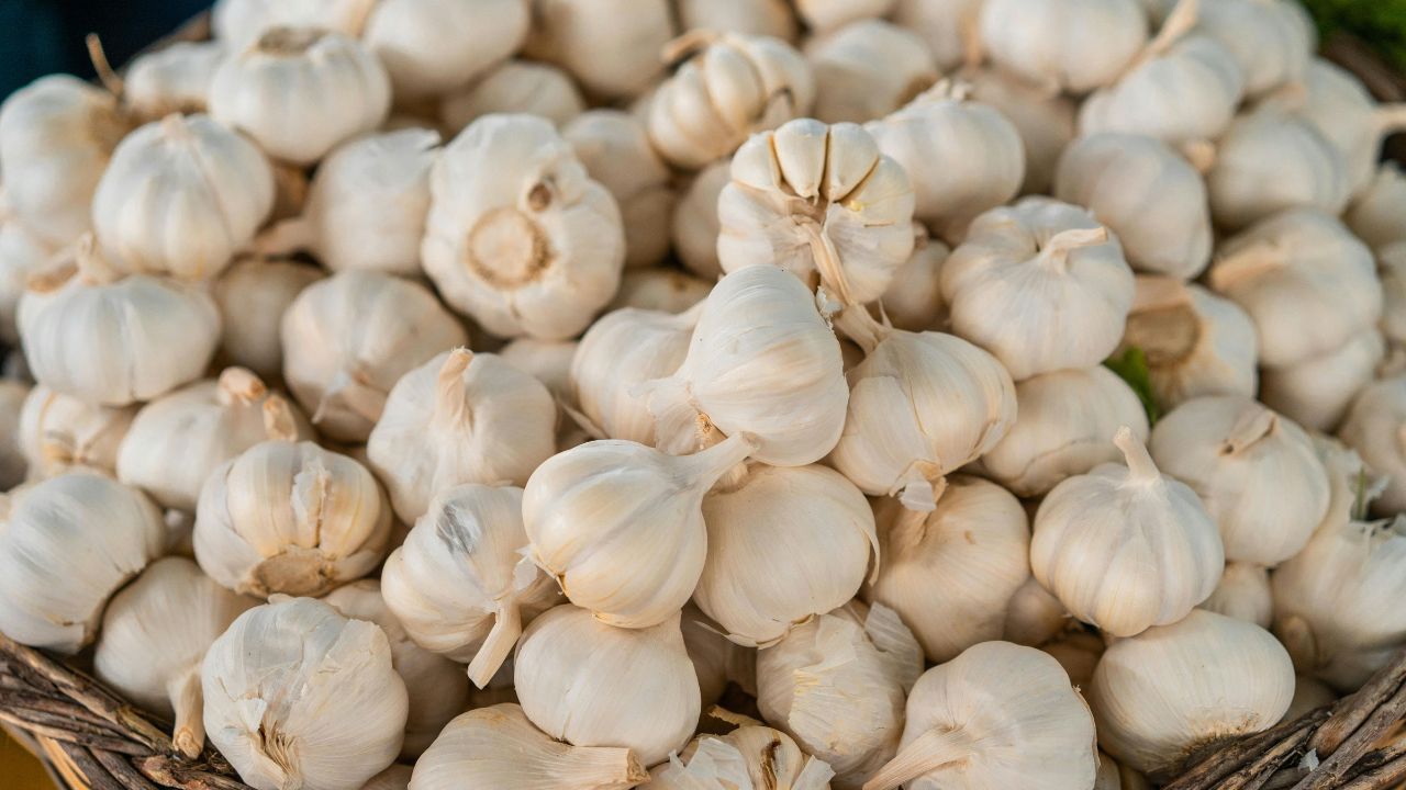 Organic Garlic Farming At Home With One Pot Ready In 4 To 6 Months