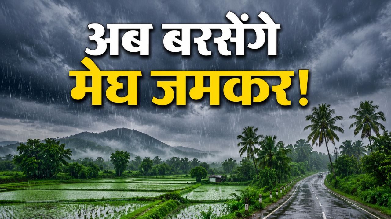 Monsoon Gains Momentum Heavy Rainfall Likely In Next 7 Days Relief For Farmers And Dry Regions