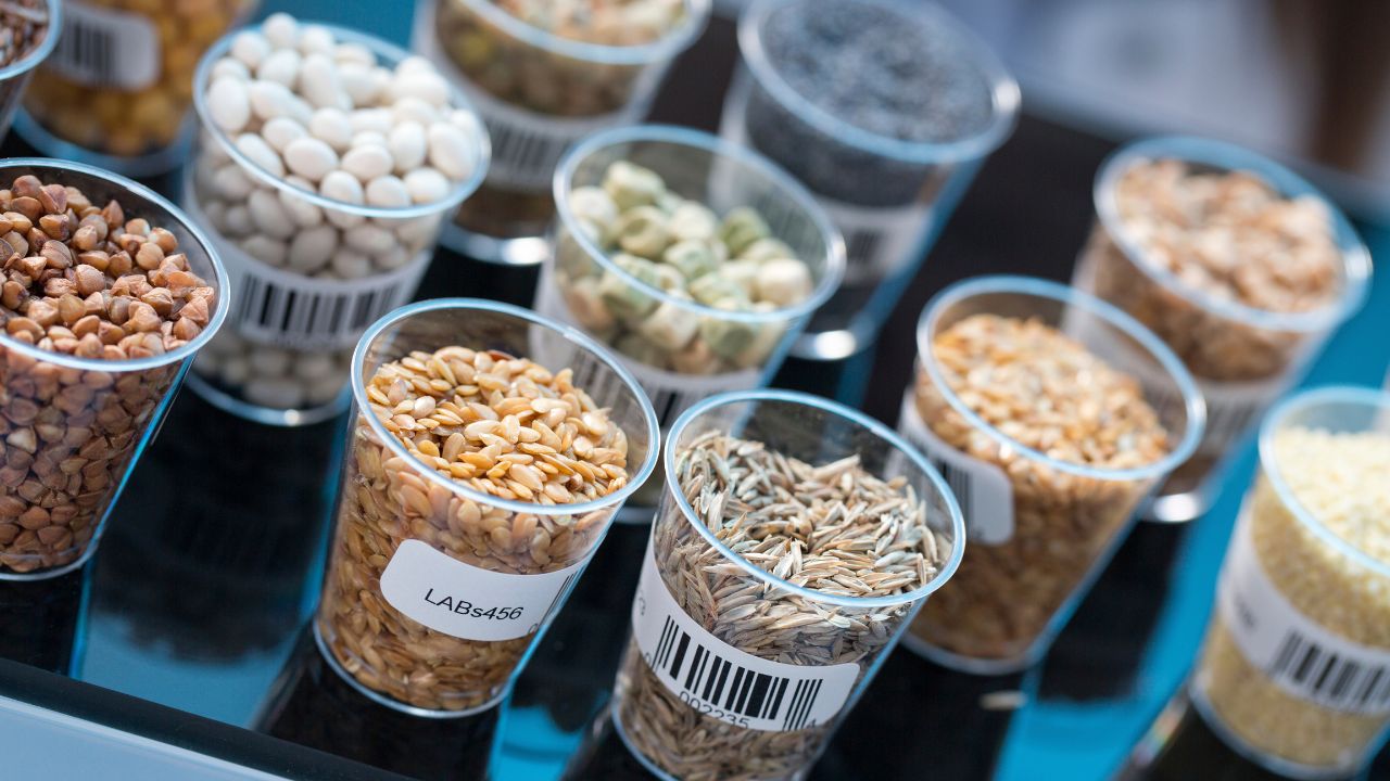 50 Percent Seed Subsidy Scheme Launched Low Cost Farming High Yield Opportunity