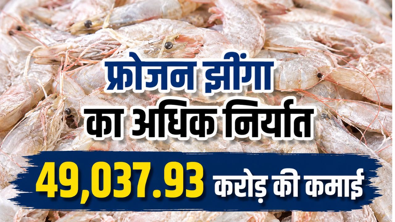 Seafood Exports Shrimp Exports India Earnings From Seafood Exports