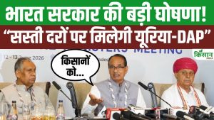 किसानों को बड़ी राहत! यूरिया-DAP के दाम नहीं बढ़ेंगे, पूरा अतिरिक्त बोझ उठाएगी सरकार किसानों को बड़ी राहत! यूरिया-DAP के दाम नहीं बढ़ेंगे, पूरा अतिरिक्त बोझ उठाएगी सरकार