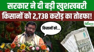 विश्व पर्यावरण दिवस पर हरियाणा का बड़ा तोहफा, किसानों और बागवानों को मिलेगी 2738 करोड़ रुपये की सहायता विश्व पर्यावरण दिवस पर हरियाणा का बड़ा तोहफा, किसानों और बागवानों को मिलेगी 2738 करोड़ रुपये की सहायता