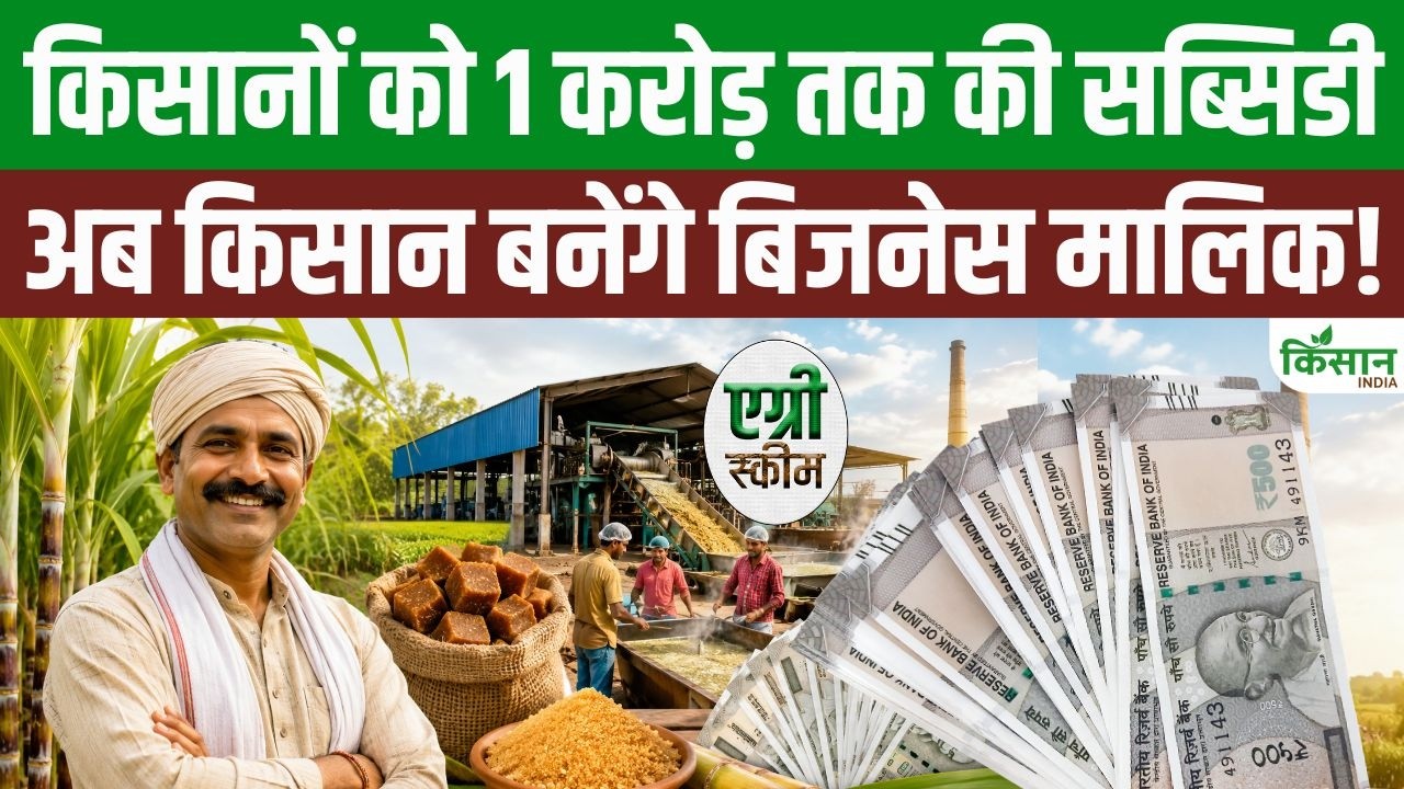 Fortune Smile On Sugarcane Farmers Subsidy Up 1 Crore For Starting Jaggery Business In Bihar