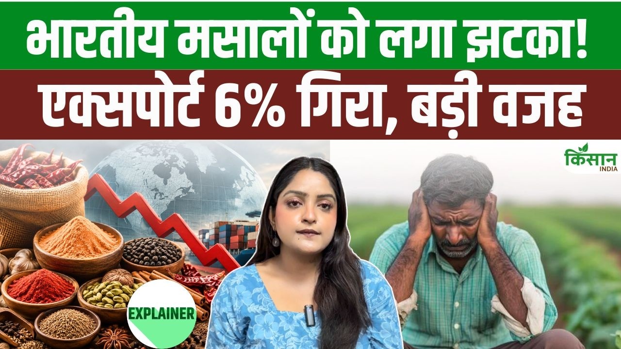 Indian Spice Exports Suffer Major Setback With A 6 Percent Decline Raising Concerns With Cardamom Proving Biggest Relief