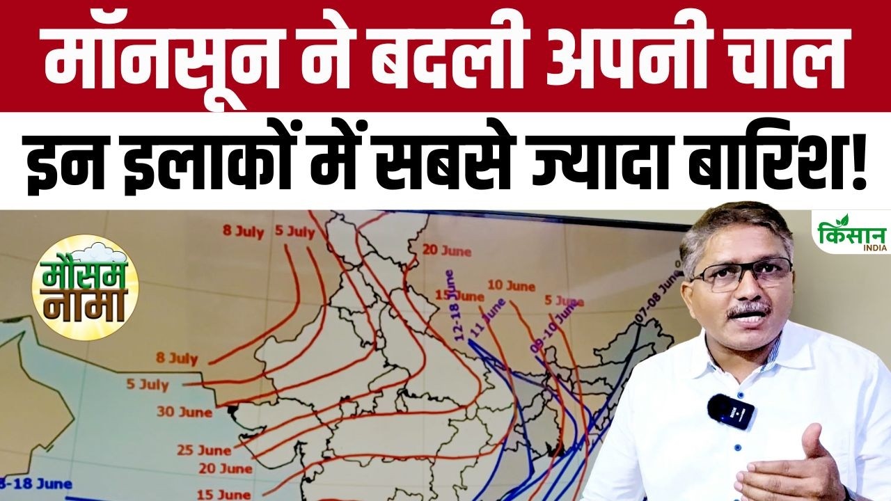 Major Monsoon Update Heavy Rainfall Expected In Several Areas Over Next 15 Days Weather Expert Claims