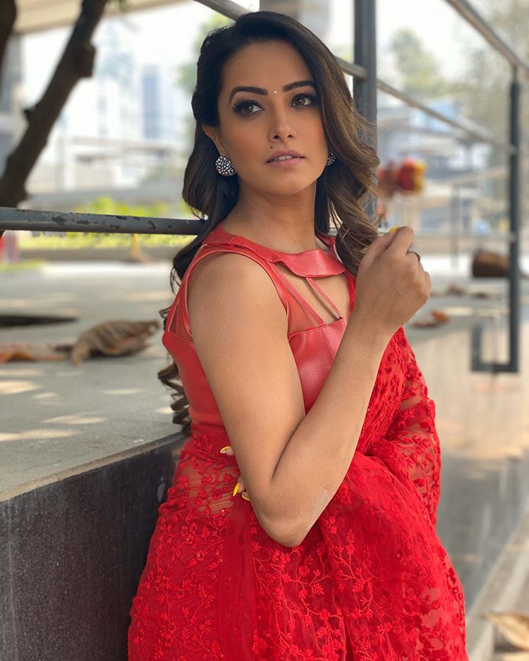 अनिता टीवी के पॉप्युलर सीरियल ‘नागिन 4’ में नज़र आई थीं। इसके अलावा वह 'ये हैं मोहब्बतें', 'कव्यांजली', 'क्योंकि सास भी कभी बहु थी' और 'कसम से' जैसे शो में नज़र आ चुकी हैं। 