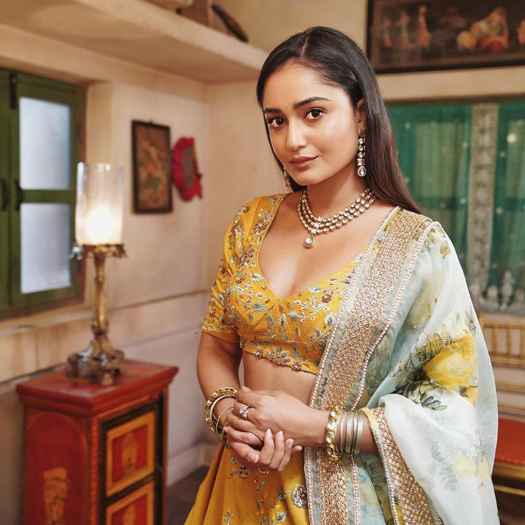 त्रिधा ने बंगाली, हिंदी, तमिल, मलयालम, और तेलुगू भाषाओं की फिल्मों में काम किया हैं।