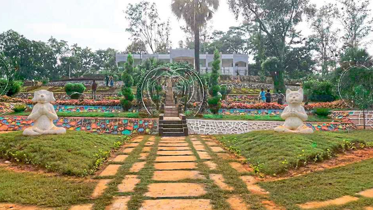 Navegaon Bandh National Park