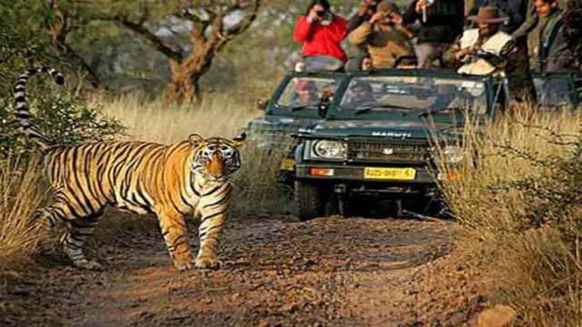 dudhwa national park