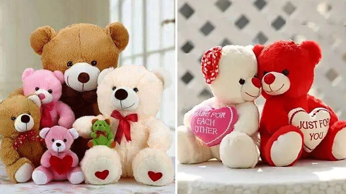 Teddy Day