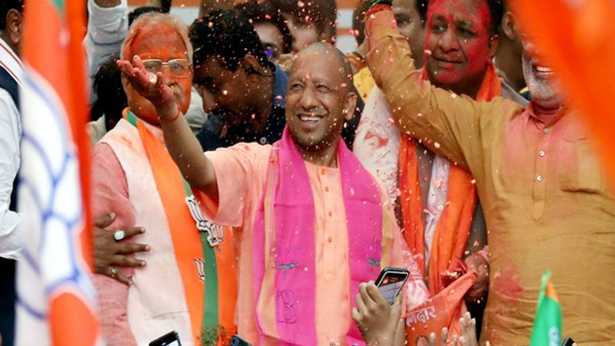 yogi