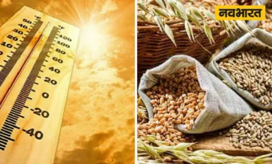 El Nino, LA Nina, Weather Modifications, Global Warming, Rainfall Pattern, Weather update, Monsoon in India, Global Warming Production