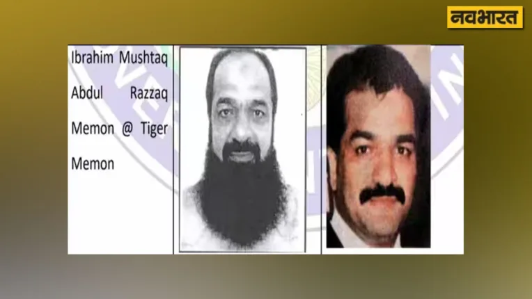 Tiger Memon Latest photo