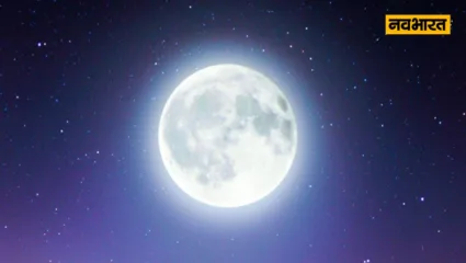 _Sakat Chauth 2024, Festival