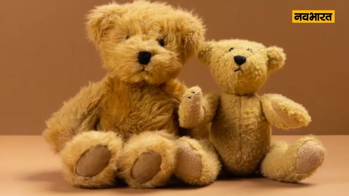 Teddy Day 2024
