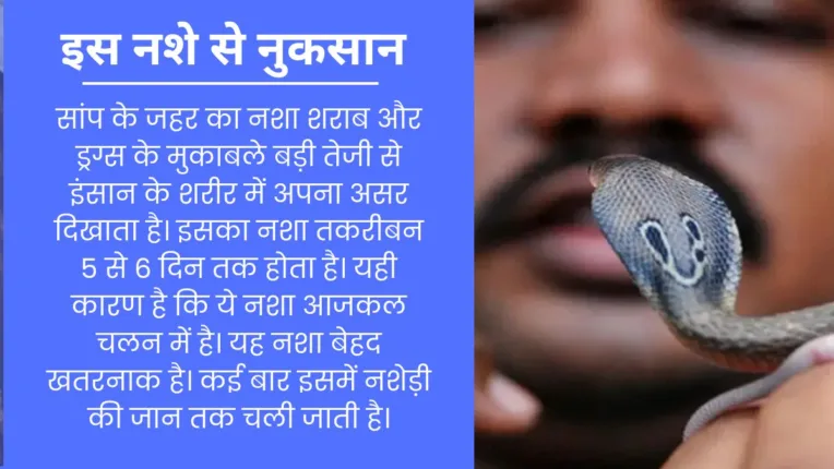 Side Effect of Snake bite Addiction