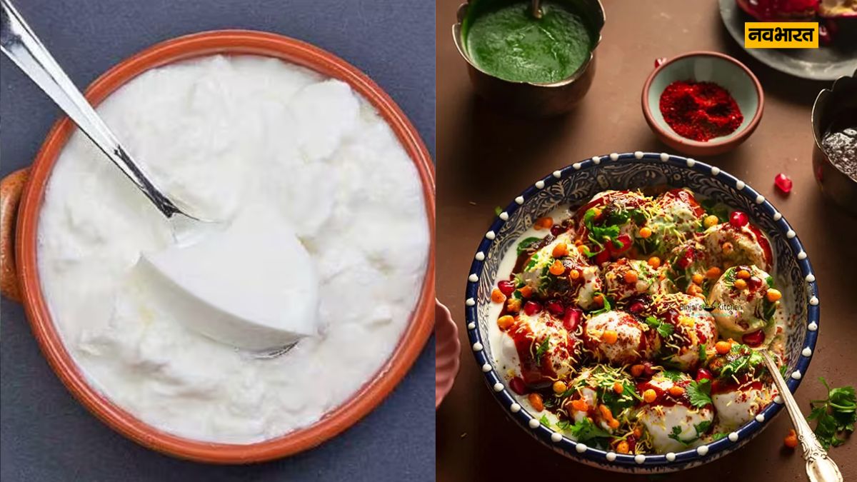 Curd Recipe, Summer Season