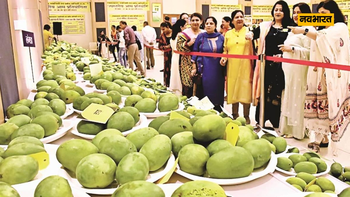 Hathijhul Mango, Mango Naam, Lifestyle
