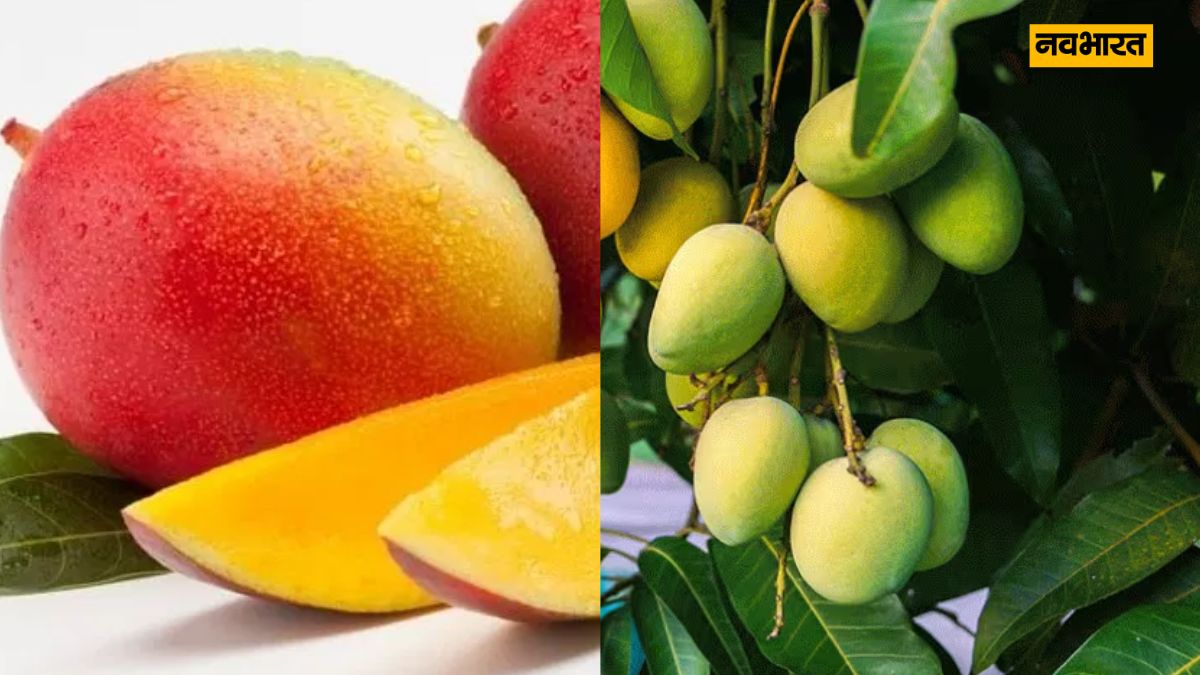 Mango Naam, Lifestyle 