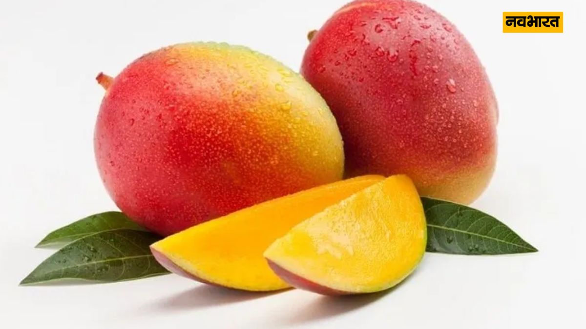 Mango Naam, Lifestyle 