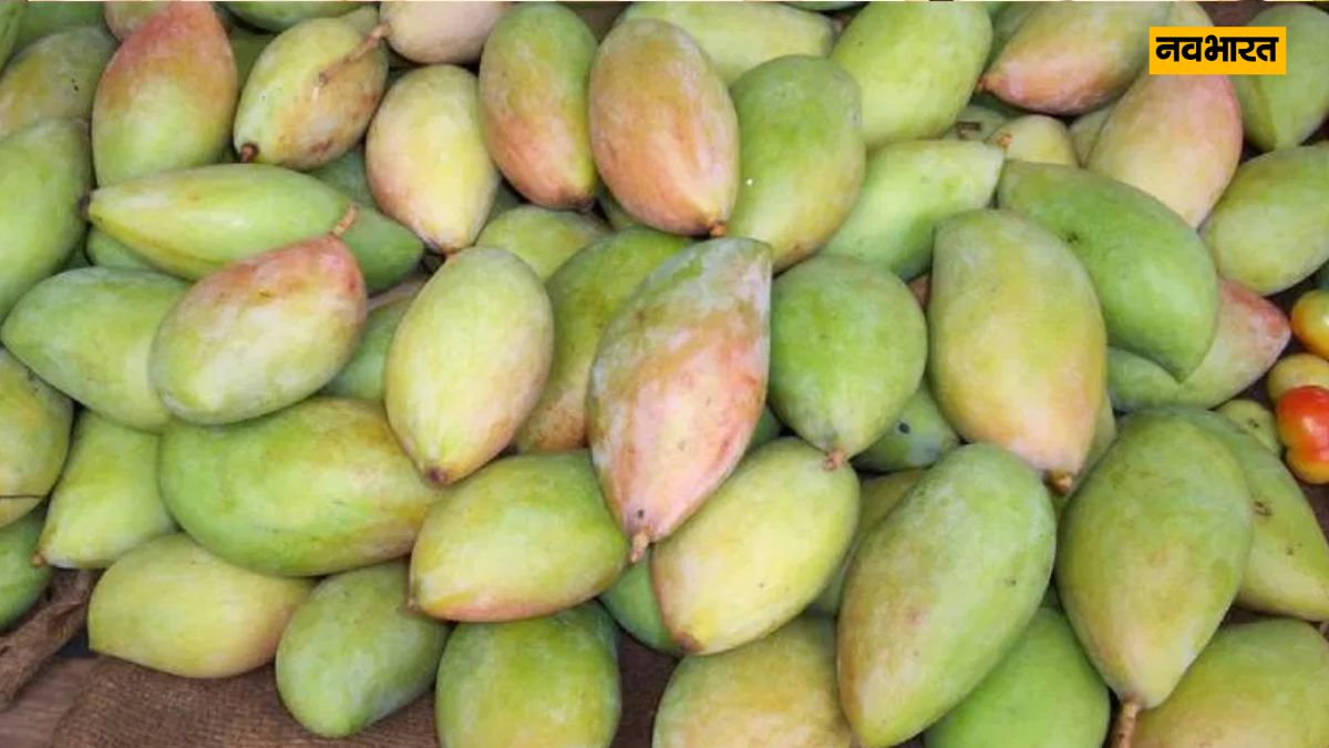 Mango Naam, Lifestyle, Totapari Mango