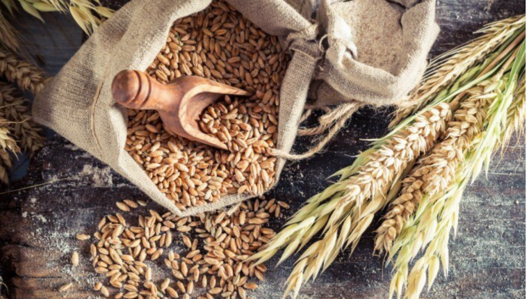 whole wheat for summer stomach issue